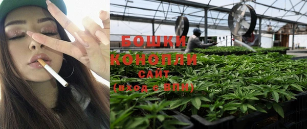 PSILOCYBIN Богородицк
