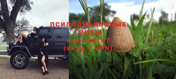 первитин Богданович