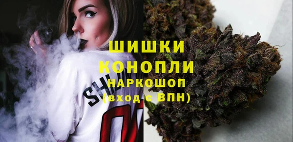 первитин Богданович