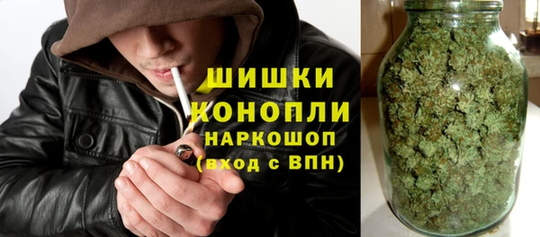 PSILOCYBIN Беломорск