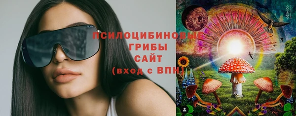 PSILOCYBIN Богородицк