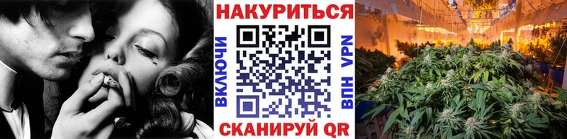 Бошки Шишки MAZAR  купить наркотики цена  omg ссылка  Княгинино 